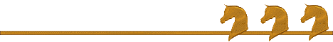 arabgoldbartrnsL